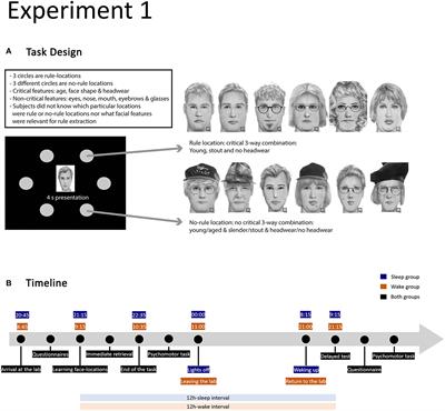 No evidence for a preferential role of sleep in episodic memory abstraction